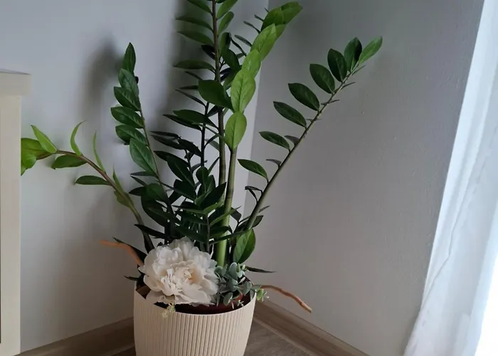 Citrin Banja Koviljača